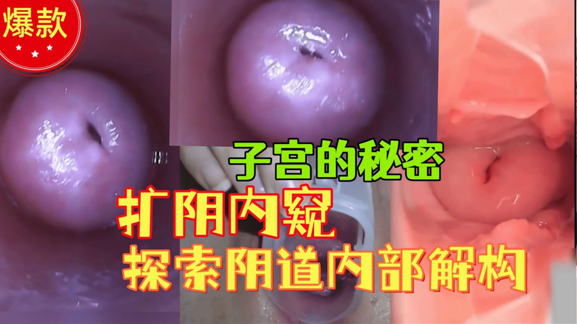 【扩阴内窥子宫】把摄像头插入阴道观察子宫 解构，从内部探索女性生殖器解构，独家